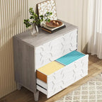 2-Drawer Lateral File Cabinet for Home Office