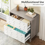 2-Drawer Lateral File Cabinet for Home Office