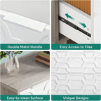 2-Drawer Lateral File Cabinet for Home Office